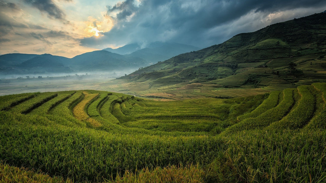 タイの民話|クロコダイル王チャラワンと英雄クライトーンの闘い