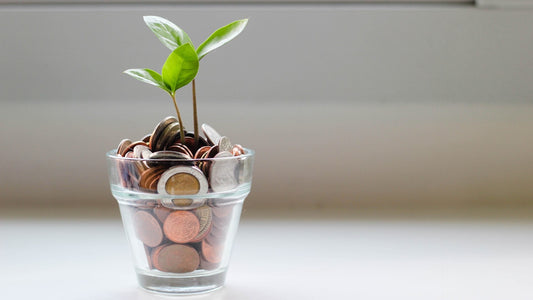 ミニ財布でお金が貯まる!節約する為の上手なコツ5選