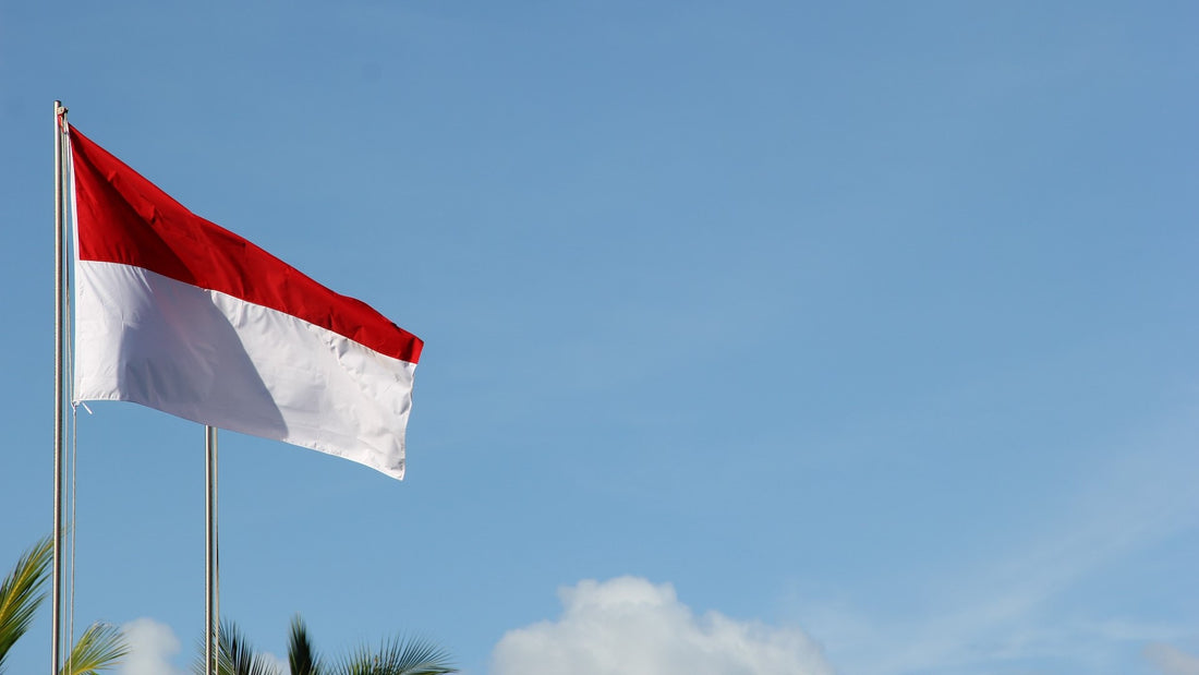 インドネシアのVOAをクレジットカード決済で事前にオンライン申請する方法