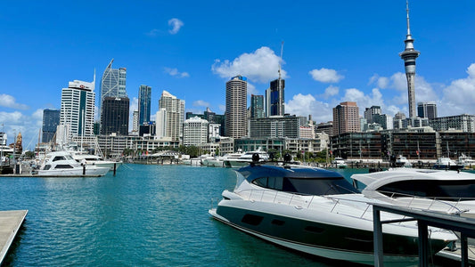 NZeTA（ニュージーランド電子渡航認証）の申請方法