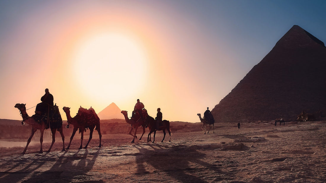 クロコダイル革の歴史と由来に迫る！起源は古代エジプト時代